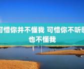 可惜你并不懂我 可惜你不听歌也不懂我