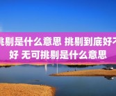 挑剔是什么意思 挑剔到底好不好 无可挑剔是什么意思