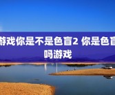 游戏你是不是色盲2 你是色盲吗游戏