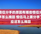 情侣分手的原因有哪些情侣分手怎么挽回 情侣马上要分手了应该怎么挽回