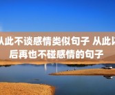 从此不谈感情类似句子 从此以后再也不碰感情的句子 
