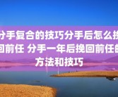 分手复合的技巧分手后怎么挽回前任 分手一年后挽回前任的方法和技巧