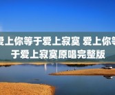 爱上你等于爱上寂寞 爱上你等于爱上寂寞原唱完整版