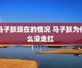 马子跃现在的情况 马子跃为什么没走红 