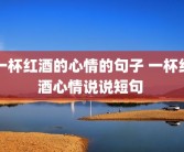 一杯红酒的心情的句子 一杯红酒心情说说短句 