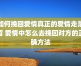 如何挽回爱情真正的爱情走是留 爱情中怎么去挽回对方的正确方法