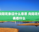 向阳花象征什么意思 向阳花代表着什么 