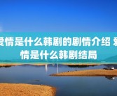 爱情是什么韩剧的剧情介绍 爱情是什么韩剧结局