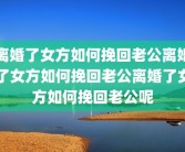 离婚了女方如何挽回老公离婚了女方如何挽回老公离婚了女方如何挽回老公呢