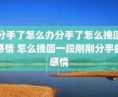 分手了怎么办分手了怎么挽回感情 怎么挽回一段刚刚分手的感情