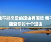 我不能恋爱的理由有哪些 我不能爱你的十个理由