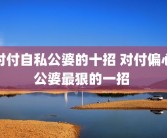 对付自私公婆的十招 对付偏心公婆最狠的一招 