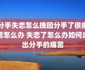 分手失恋怎么挽回分手了很痛苦怎么办 失恋了怎么办如何走出分手的痛苦
