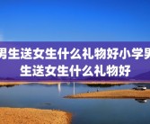 男生送女生什么礼物好小学男生送女生什么礼物好