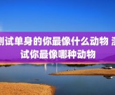 测试单身的你最像什么动物 测试你最像哪种动物