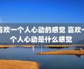 喜欢一个人心动的感觉 喜欢一个人心动是什么感觉 