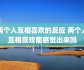 两个人互相喜欢的反应 两个人互相喜欢能感觉出来吗