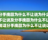 分手挽回为什么不让说为什么不让说及分手挽回为什么不让说话分手挽回为什么不让说话