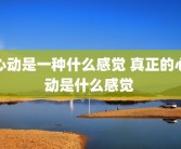 心动是一种什么感觉 真正的心动是什么感觉 
