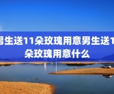 男生送11朵玫瑰用意男生送11朵玫瑰用意什么