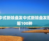 中式新娘盘发中式新娘盘发图解100种