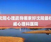 沈阳心理疏导哪家好沈阳最权威心理科医院