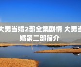 大男当婚2部全集剧情 大男当婚第二部简介 