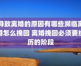 导致离婚的原因有哪些濒临离婚怎么挽回 离婚挽回必须要经历的阶段
