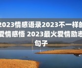 2023情感语录2023不一样的爱情感悟 2023最火爱情励志句子