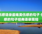 伤感语录最唯美伤感的句子 伤感的句子经典语录简短
