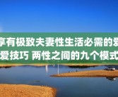 享有极致夫妻性生活必需的爱爱技巧 两性之间的九个模式