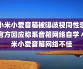 小米小爱音箱被曝歧视同性恋 官方回应称系音箱网络自学 小米小爱音箱网络不佳