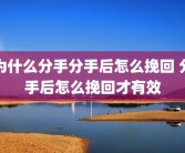为什么分手分手后怎么挽回 分手后怎么挽回才有效