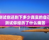 测试你还剩下多少真实的自己 测试你经历了什么痛苦