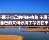不属于自己的何必执着 不属于自己的又何必拼了命去在乎 