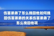 伤害弟弟了怎么挽回他如何挽回伤害弟弟的关系伤害弟弟了怎么挽回他呢
