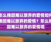 怎么挽回难以放弃的爱情如何挽回难以放弃的爱情？怎么挽回难以放弃的爱情呢