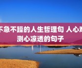 不急不躁的人生哲理句 人心难测心凉透的句子 
