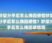 吵架分手后怎么挽回感情吵架分手后怎么挽回感情？吵架分手后怎么挽回感情呢