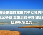 离婚抚养权离婚后子女抚养权怎么争取 离婚后孩子共同抚养抚养权怎么判
