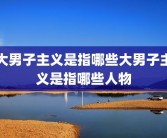 大男子主义是指哪些大男子主义是指哪些人物