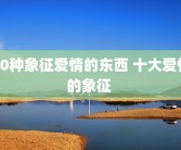 10种象征爱情的东西 十大爱情的象征 