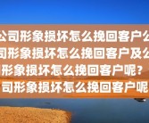公司形象损坏怎么挽回客户公司形象损坏怎么挽回客户及公司形象损坏怎么挽回客户呢？公司形象损坏怎么挽回客户呢