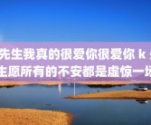 k先生我真的很爱你很爱你 k 先生愿所有的不安都是虚惊一场