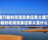 康乃馨的花语及象征意义康乃馨的花语及象征意义是什么