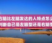 右脑比左脑发达的人特点怎么判断自己是左脑型还是右脑型