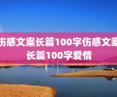 伤感文案长篇100字伤感文案长篇100字爱情