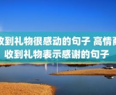收到礼物很感动的句子 高情商收到礼物表示感谢的句子 
