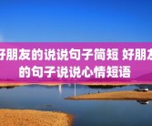 好朋友的说说句子简短 好朋友的句子说说心情短语 