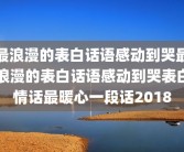 最浪漫的表白话语感动到哭最浪漫的表白话语感动到哭表白情话最暖心一段话2018